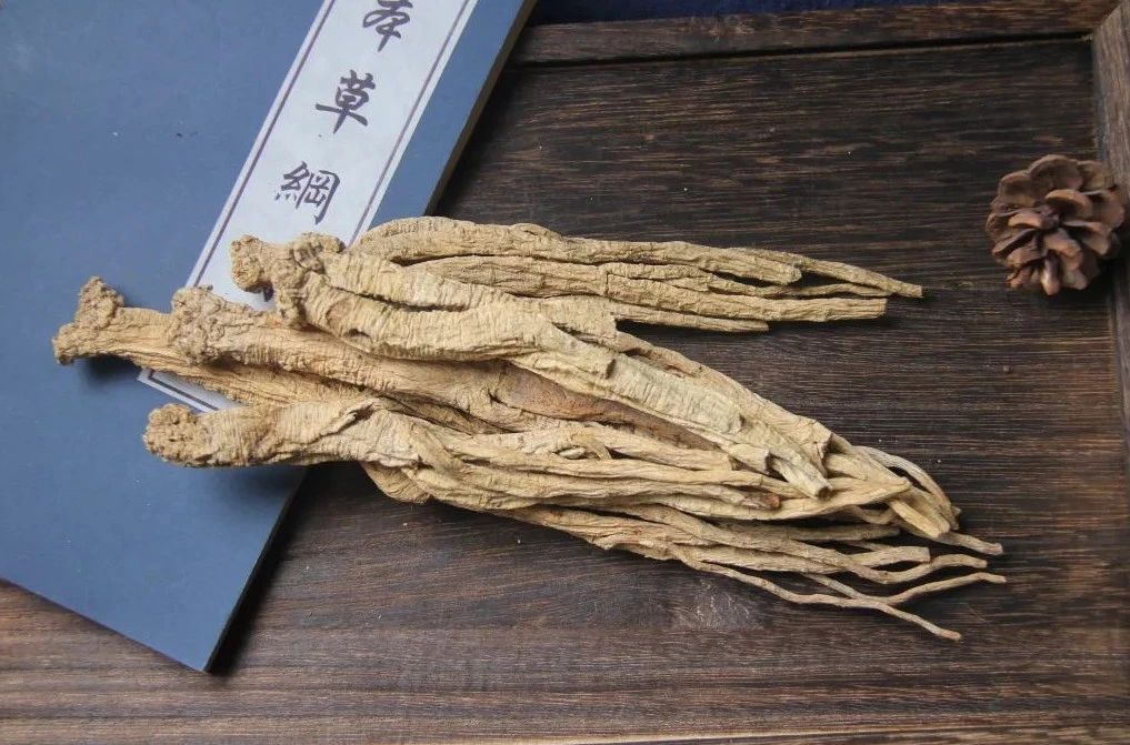 瑞龍中藥大講堂|黨參